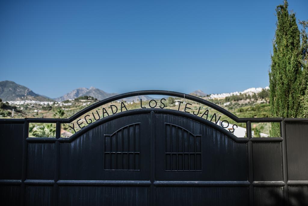 La Perla De Frigiliana Bed & Breakfast Deluxe المظهر الخارجي الصورة