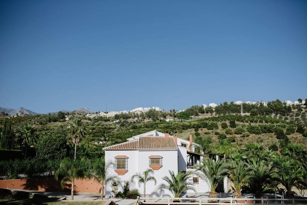 La Perla De Frigiliana Bed & Breakfast Deluxe المظهر الخارجي الصورة